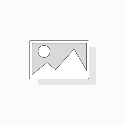 Microsoft 365 Business Standard EEA (No Teams) and Microsoft 365 Copilot Business - Mensuel / An